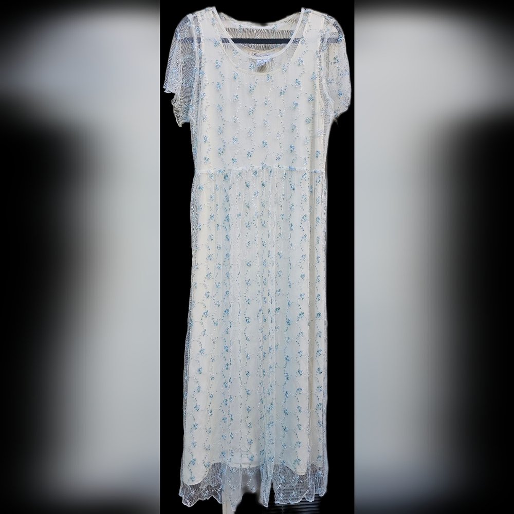 Hopeless Romantic Vintage Dress with Sheer overlay sz M